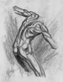 Michael Hensley Drawings, Male Form 85